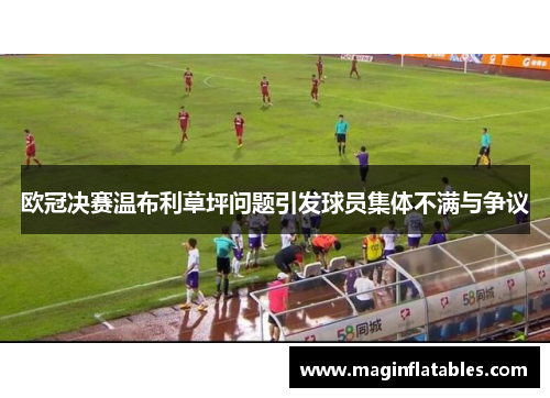 欧冠决赛温布利草坪问题引发球员集体不满与争议