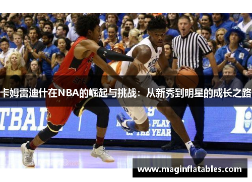 卡姆雷迪什在NBA的崛起与挑战：从新秀到明星的成长之路