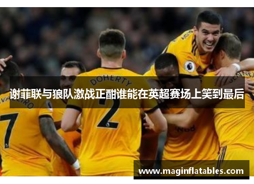 谢菲联与狼队激战正酣谁能在英超赛场上笑到最后